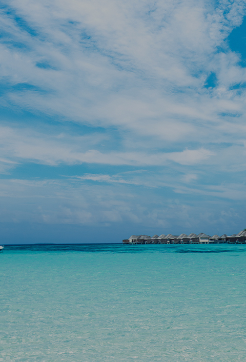 給水安全主要聚焦預處理、深度處理、聯(lián)合消毒，主推產(chǎn)品包括粉末活性炭應急預處理、預臭氧化學預處理、臭氧生物活性炭深度處理工藝、臭氧+次氯酸鈉+紫外+超濾聯(lián)合消毒工藝。